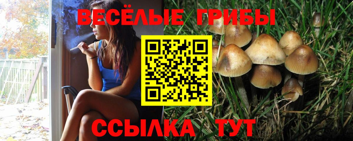 Галлюциногенные грибы GOLDEN TEACHER Аргун