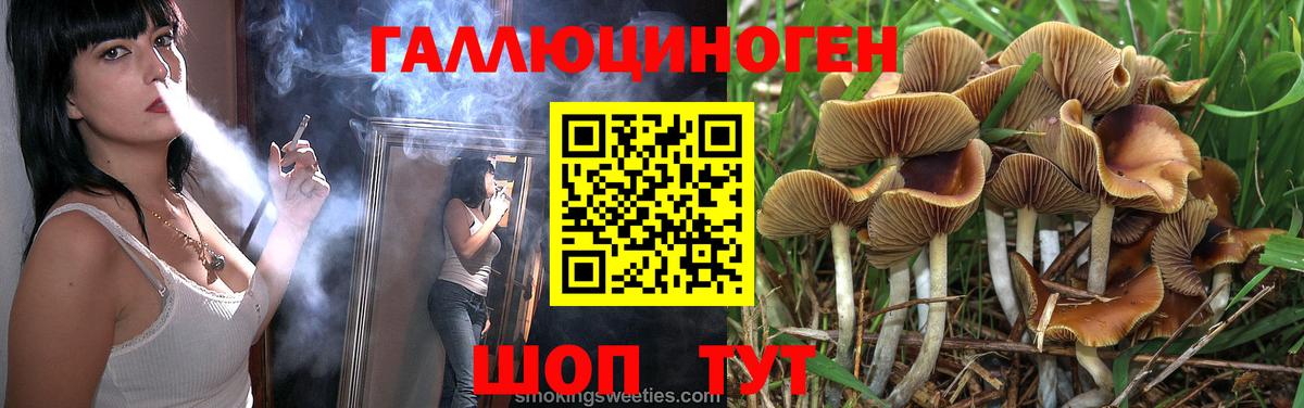 Псилоцибиновые грибы мицелий  Галлюциногенные грибы Magic Shrooms  Вход с VPN  Аргун 